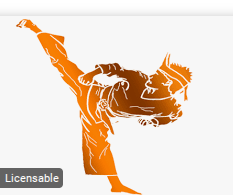 Karate Gi